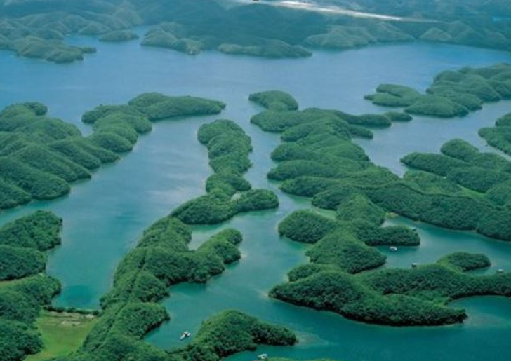 あこや真珠　バチカンペンダント