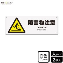 ɸSQUARE־㳲ʪաסCTK2020ڥץ饹åץ졼ȡۥ襳400mm߽138mm