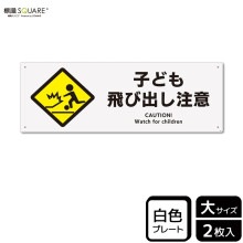 ɸ��SQUARE���ֻҤɤ����ӽФ����աס�CTK2068���ڥץ饹���å��ץ졼�ȡۥ襳������400mm�߽�138mm