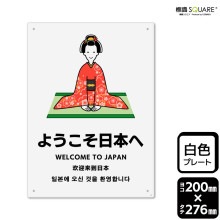 ɸ��SQUARE���֤褦�������ܤءס�CTK1336���ڥץ饹���å��ץ졼�ȡۥ��Ʒ�����200mm�߽�276mm��2����