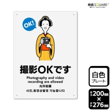 ɸ��SQUARE���ֻ���OK�Ǥ��ס�CTK1342���ڥץ饹���å��ץ졼�ȡۥ��Ʒ�����200mm�߽�276mm��2����