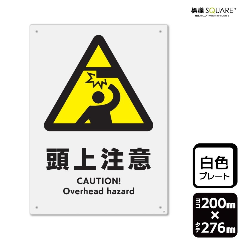 ɸ��SQUARE����Ƭ�����աס�CTK1344���ڥץ饹���å��ץ졼�ȡۡ����ơ���200mm�߽�276mm��2����