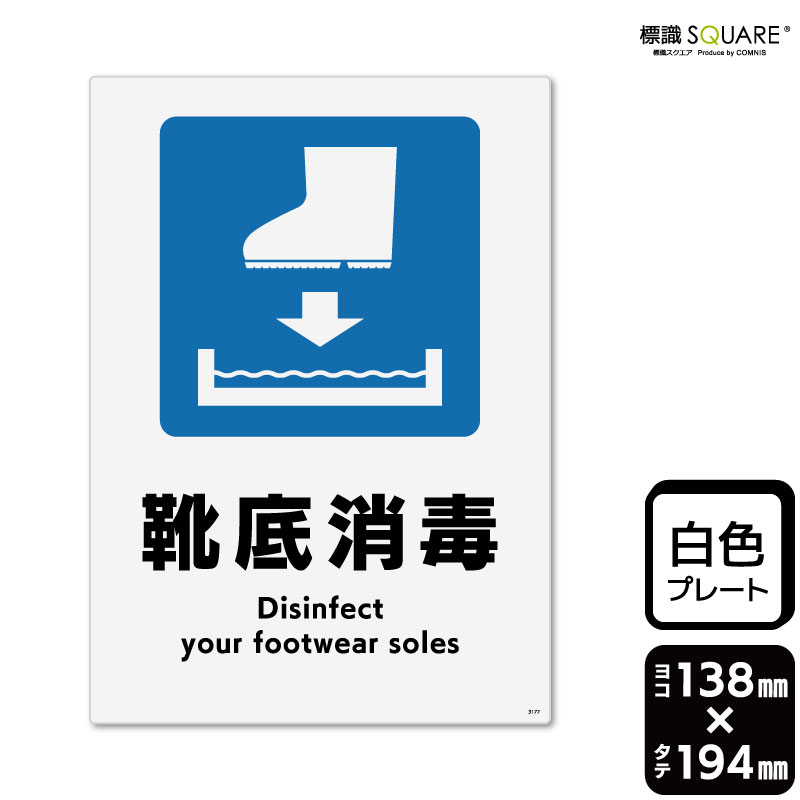 ɸSQUAREַǡĹˡסCTK3177ڥץ饹åץ졼ȡۡƷ138mm߽194mm2