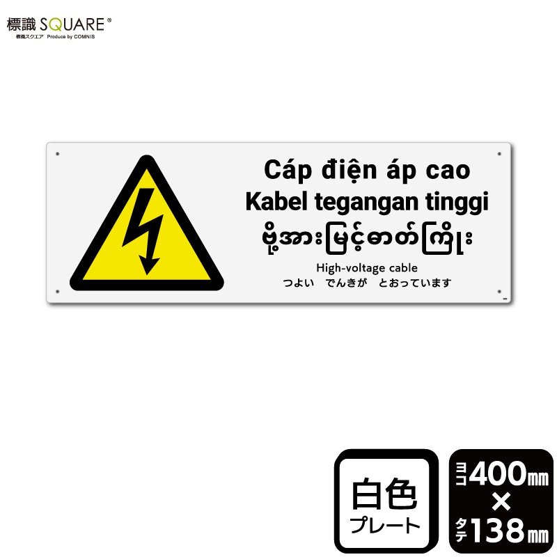 ɸ��SQUARE���֤Ĥ褤�Ǥ󤭤��Ȥ��äƤ��ޤ��ס�CTK2383���ڥץ饹���å��ץ졼�ȡۡ��襳������400mm�߽�138mm��2����