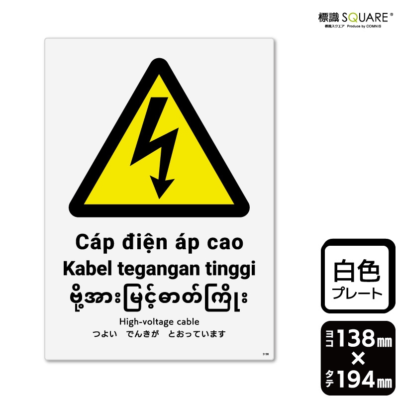 ɸ��SQUARE���֤Ĥ褤�Ǥ󤭤��Ȥ��äƤ��ޤ��ס�CTK3198���ڥץ饹���å��ץ졼�ȡۡ����Ʒ�����138mm�߽�194mm��2����