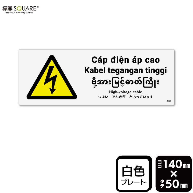 ɸ��SQUARE���֤Ĥ褤�Ǥ󤭤��Ȥ��äƤ��ޤ��ס�CTK8152���ڥץ饹���å��ץ졼�ȡۡ��襳������140mm�߽�50mm��2����