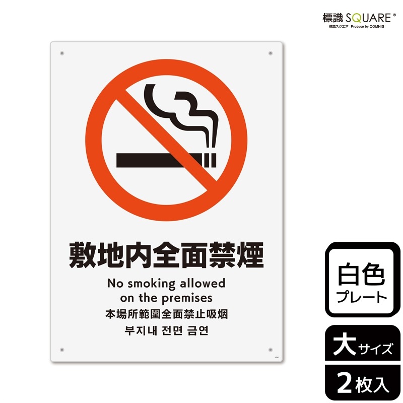 ɸ��SQUARE�����������������̶ر�ס�CTK1097���ڥץ饹���å��ץ졼�ȡۥ��Ʒ�����200mm�߽�276mm