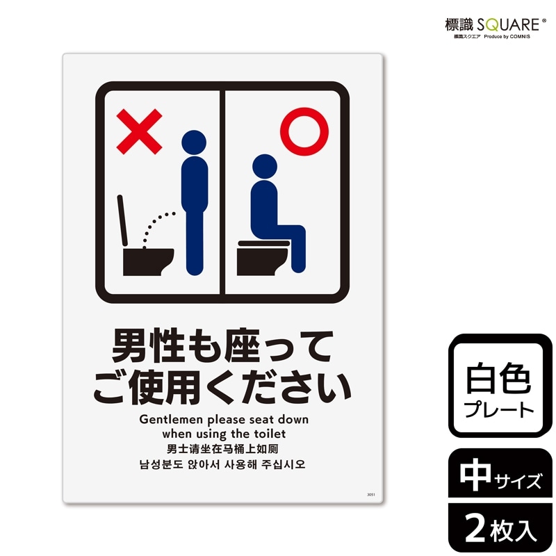 ɸ��SQUARE����������¤äƤ����Ѥ��������ס�CTK3051���ڥץ饹���å��ץ졼�ȡۥ��Ʒ�����138mm�߽�194mm