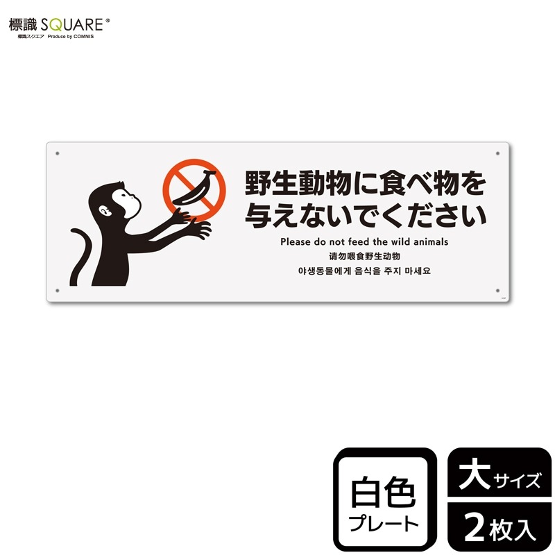 ɸ��SQUARE��������ưʪ�˿���ʪ��Ϳ���ʤ��ǡס�CTK2107���ڥץ饹���å��ץ졼�ȡۥ襳������400mm�߽�138mm