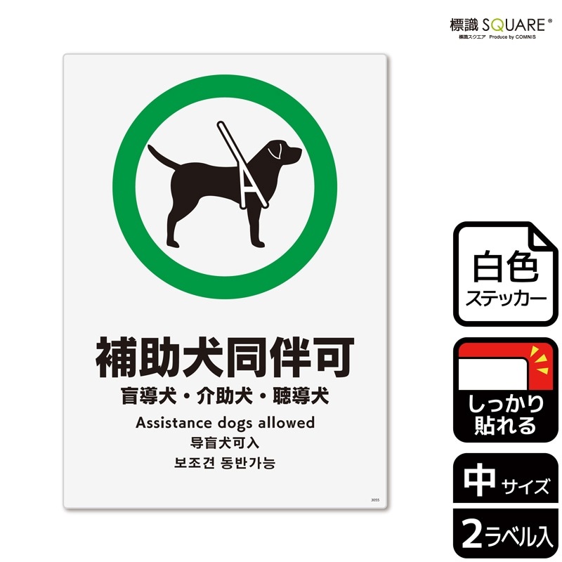 ɸ��SQUARE���������Ʊȼ�ġס�CFK3055���ڥۥ磻�ȥե���ॹ�ƥå�������Ǵ��ۥ��Ʒ�����138mm�߽�194mm