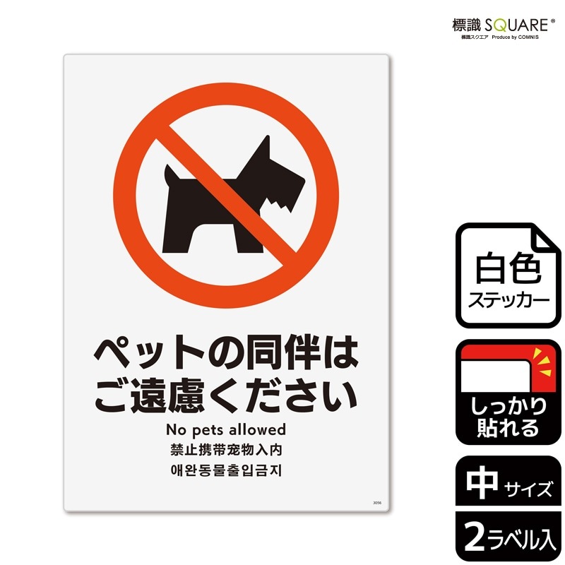 ɸ��SQUARE���֥ڥåȤ�Ʊȼ�Ϥ���θ���������ס�CFK3056���ڥۥ磻�ȥե���ॹ�ƥå�������Ǵ��ۥ��Ʒ�����138mm�߽�194mm