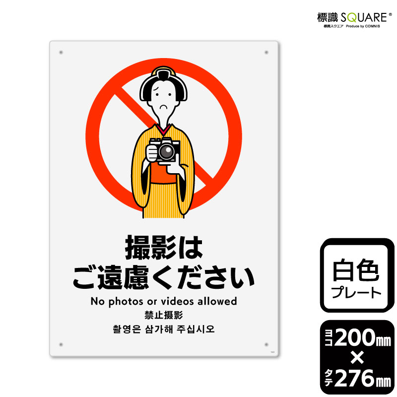 ɸ��SQUARE���ֻ��ƤϤ���θ���������ס�CTK1343���ڥץ饹���å��ץ졼�ȡۥ��Ʒ�����200mm�߽�276mm��2����