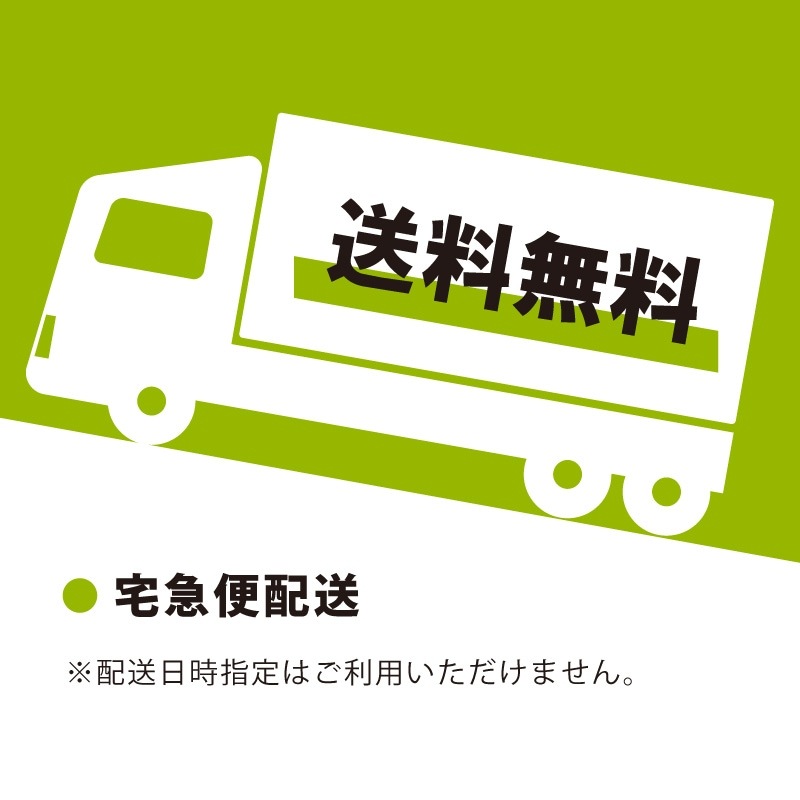 ɸ��SQUARE���ֲ���ʪ�������ԡʵ������ˡס�CTK2340���ڥץ饹���å��ץ졼�ȡۥ襳������400mm�߽�138mm��2����