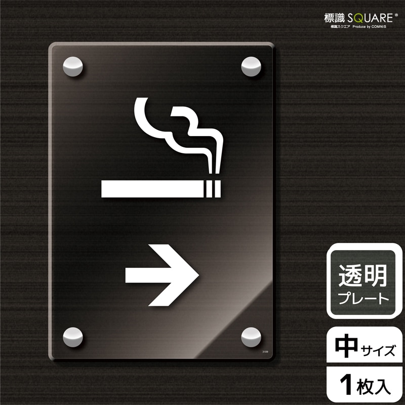 ɸSQUARESMOKING ROOMʱˡסCAK3109Ʃץ졼ȡۥƷ138mm߽194mm