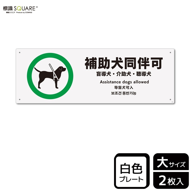 ɸ��SQUARE���������Ʊȼ�ġס�CTK2185���ڥץ饹���å��ץ졼�ȡۥ襳������400mm�߽�138mm