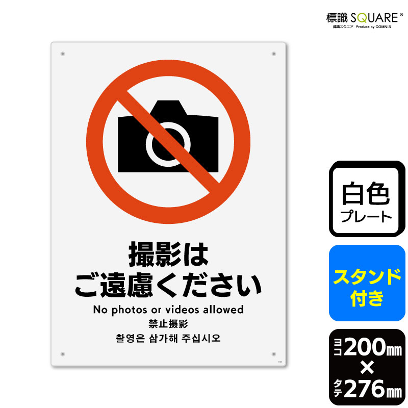 ɸ��SQUARE���ֻ��ƤϤ���θ���������ס�CWK1153���ڥץ饹���å��ץ졼�� ��������դ��ۡ����Ʒ�����200mm�߽�276mm��2����