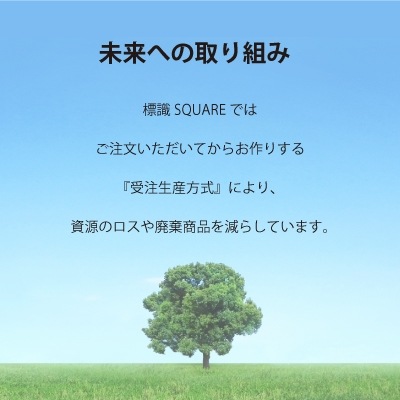 ɸSQUARE֤ޡʢˡסCAK2225Ʃץ졼ȡۥ襳400mm߽138mm