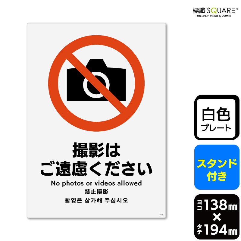 ɸ��SQUARE���ֻ��ƤϤ���θ���������ס�CWK3073���ڥץ饹���å��ץ졼�� ��������դ��ۡ����Ʒ�����138mm�߽�194mm��2����