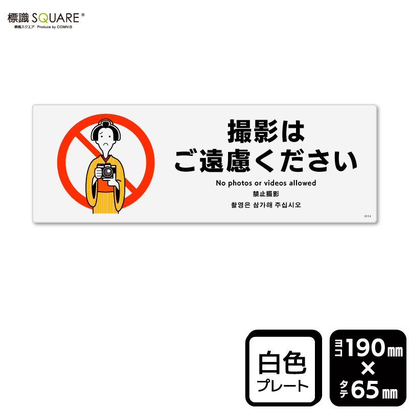 ɸ��SQUARE���ֻ��ƤϤ���θ���������ס�CTK6154���ڥץ饹���å��ץ졼�ȡۥ襳������190mm�߽�65mm��2����