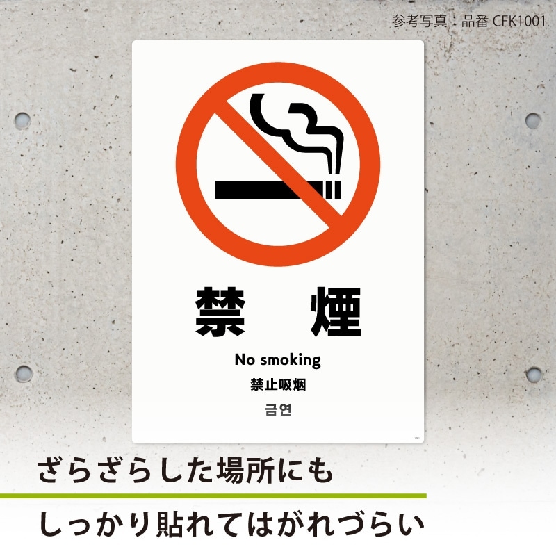 ɸ��SQUARE���ֻ��ƤϤ���θ���������ס�CFK1343���ڥۥ磻�ȥե���ॹ�ƥå�������Ǵ��ۥ��Ʒ�����200mm�߽�276mm��2��٥�