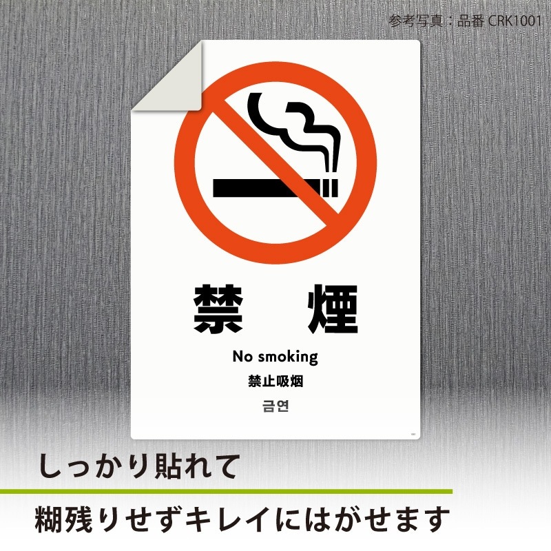 ɸ��SQUARE��������6�糧�åȡס�CRS5083���ڥۥ磻�ȥե���ॹ�ƥå������ƤϤ���� ����������92mm�߽�92mm��6���1��٥�