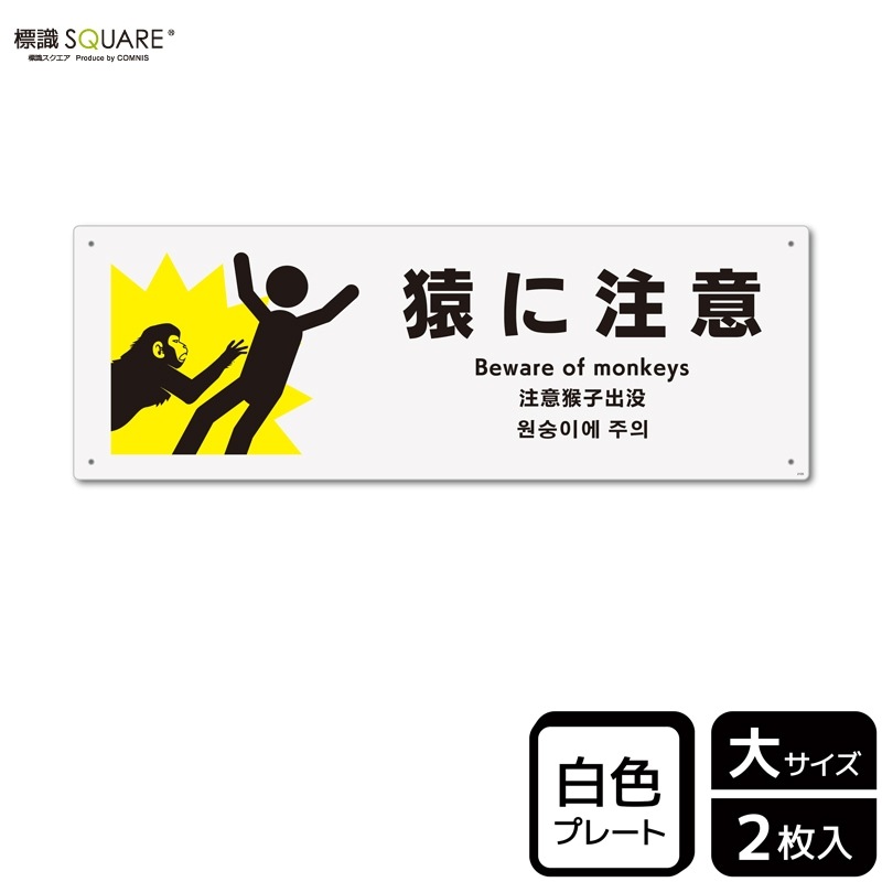 ɸ��SQUARE���ֱ�����աס�CTK2105���ڥץ饹���å��ץ졼�ȡۥ襳������400mm�߽�138mm