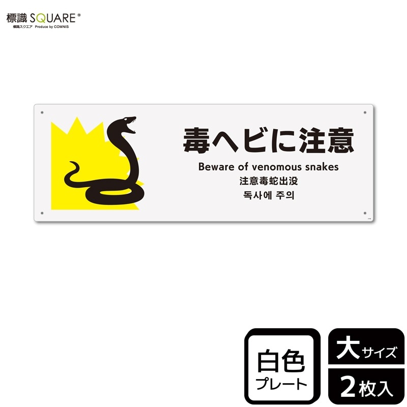 1_000000000592.jpg?1753408379