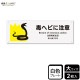 ɸ��SQUARE�����ǥإӤ����աס�CTK2106���ڥץ饹���å��ץ졼�ȡۥ襳������400mm�߽�138mm��2����