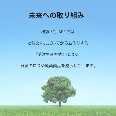 ɸSQUARE־ܤϥåդˤҤͤסCTK4088ڥץ饹åץ졼ȡۥ襳280mm߽94mm