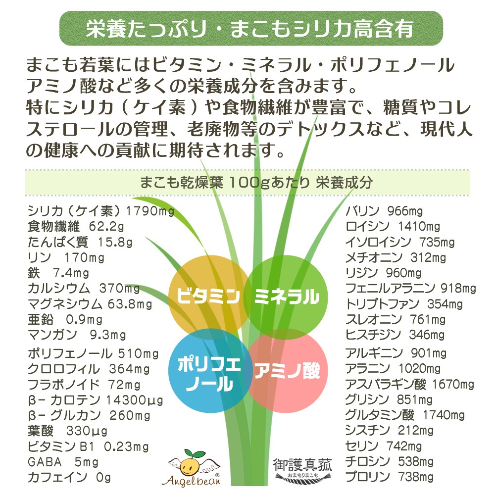 Angelbean ޤʴ  ̵ ޤ⥷ꥫͭ 100% ʴѥ ƥå 2g10