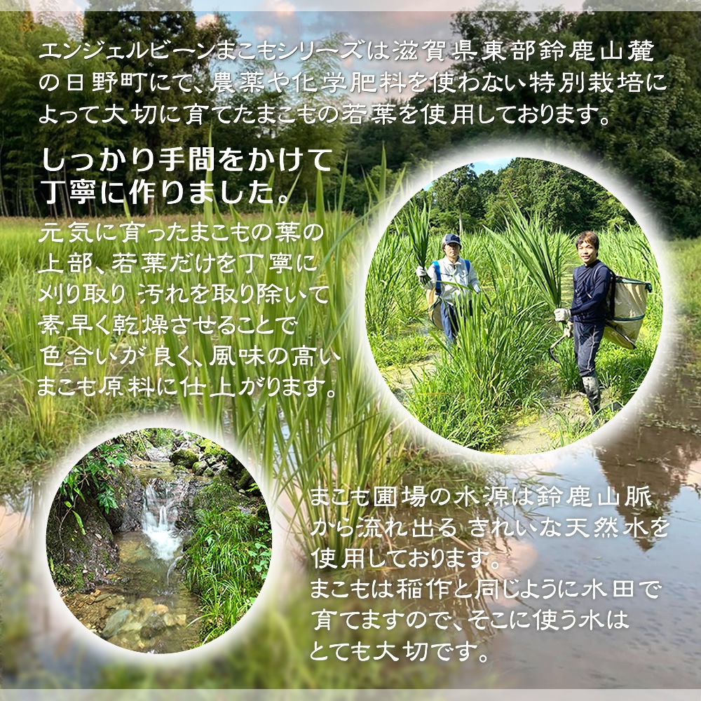 Angelbean ޤʴ  ̵ ޤ⥷ꥫͭ 100% ʴѥ ƥå 2g10