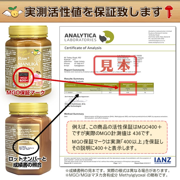 Angelbean �� �ޥ̥��ϥˡ� MGO200+(����8+��11+) �˥塼�������ɻ� ���Ϥ��ߤ� 500g��3�ĥ��å�