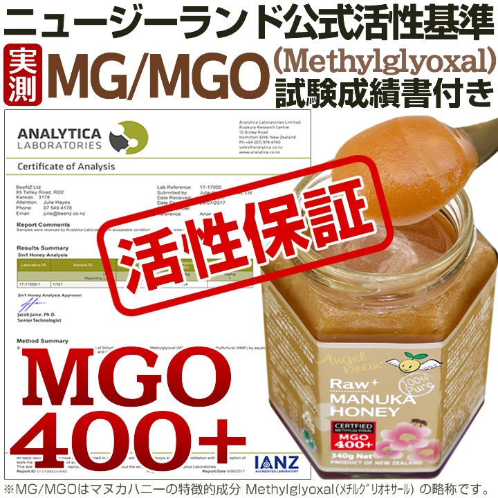 Angelbean  ޥ̥ϥˡ MGO400+(12+16+) ˥塼ɻ Ϥߤ 500g3ĥå