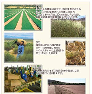 ˥å 륤ܥƥ õ饨ȥե ͭJAS ƥХå 3g50 ᡼ȯ ̵