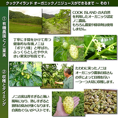 �������˥å��Υ˥��塼�� ���å��������ɻ� ľ͢�� ͭ��JAS ȯ�ڥΥ˸��� 1000ml��12�ܥ��å�