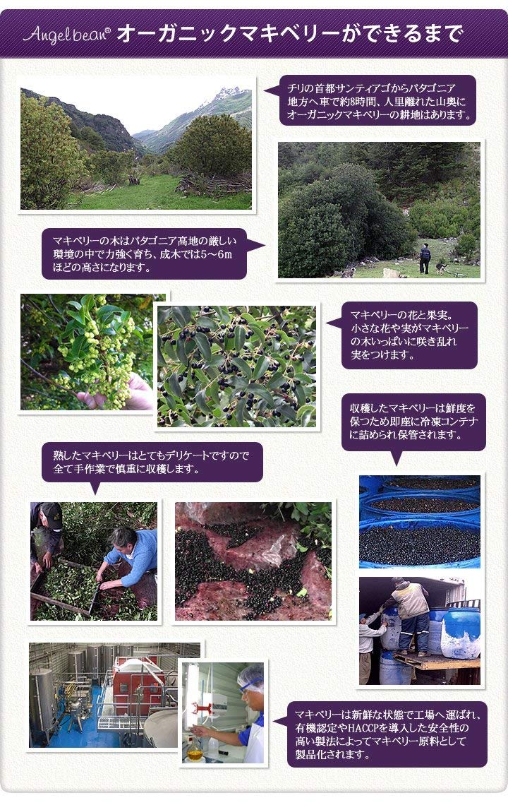 ���󥸥���ӡ��� �ޥ��٥꡼ �ѥ����� ͭ��JAS �������˥å� ���Ǯ �ޥ��٥꡼ʴ�� 100g�ޡ�3�ĥ��å�