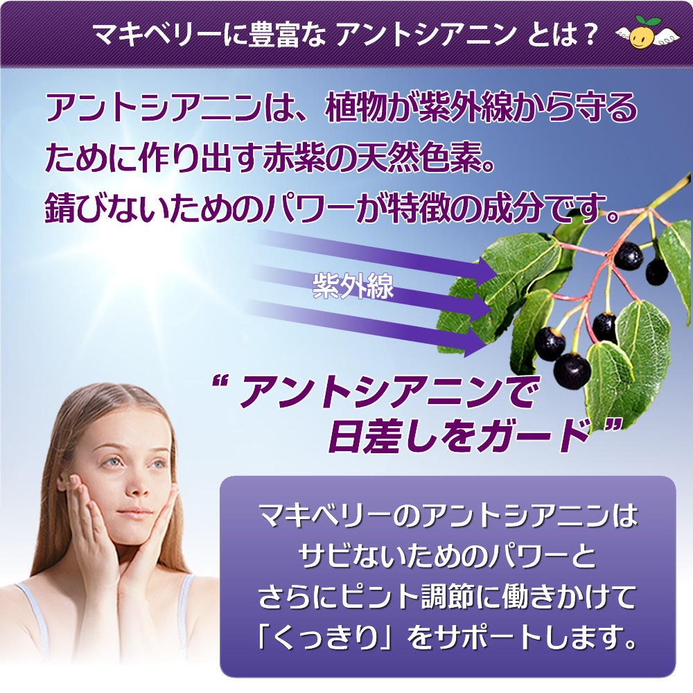 ���󥸥���ӡ��� �ޥ��ɥ��å� �������˥å�JAS �ޥ��٥꡼100% ǻ�̥����� ���� 195g��2�ܥ��å�