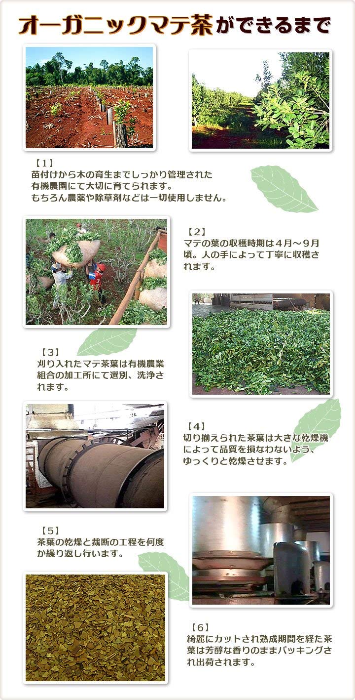 �������˥å� �ޥ��� ͭ��JAS �֥饦�� �������� 2g��30�� �᡼����ȯ�� ����̵��