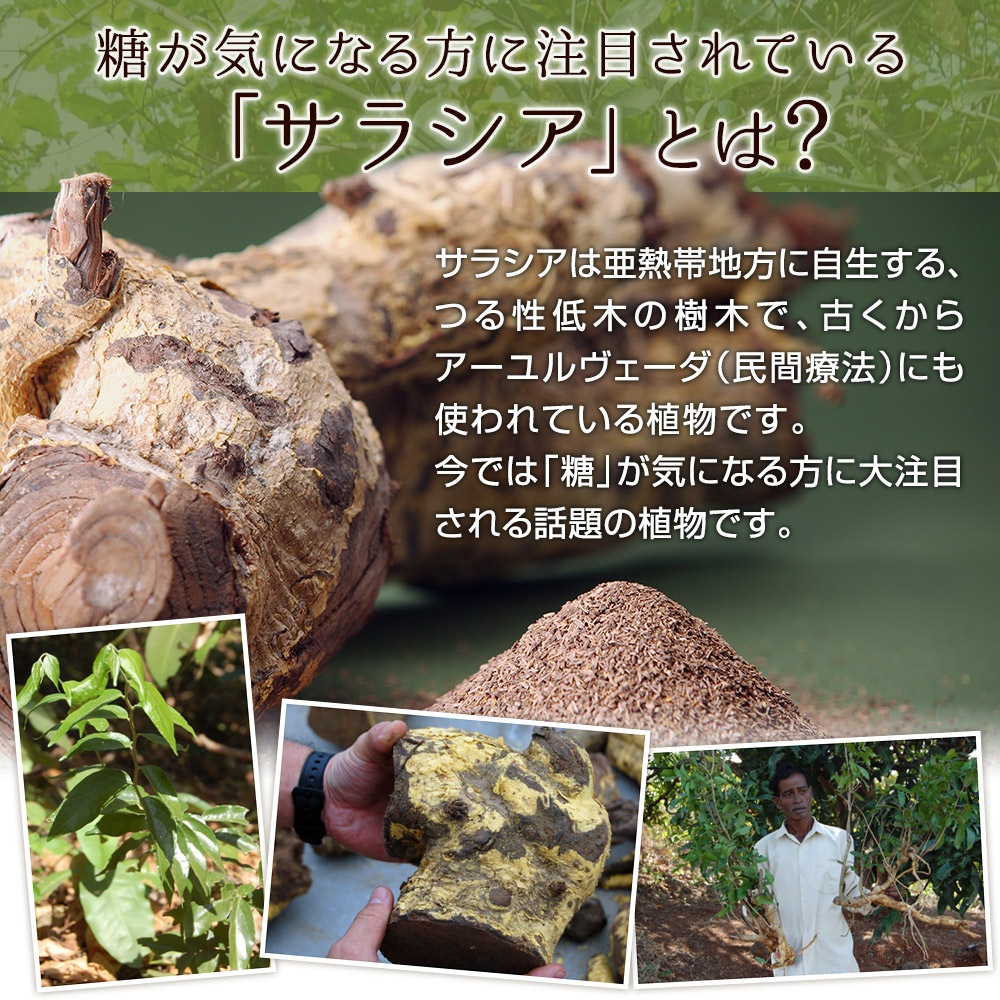  ̣¡2025.5.19ۥ饷  100g  ˥饷Ρ Υ󥫥ե󡦥Υ󥫥꡼ 