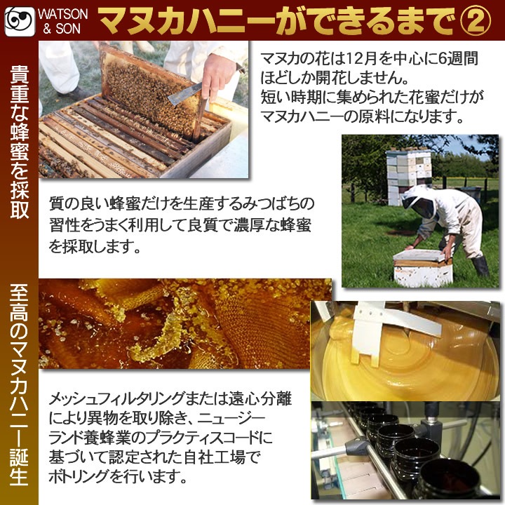 Watson & Son MGS�ޥ̥��ϥˡ� 20+(22.3) MGO800+(918)��250g�� �ޥ̥�˪̪ ��ȥ�������� ������