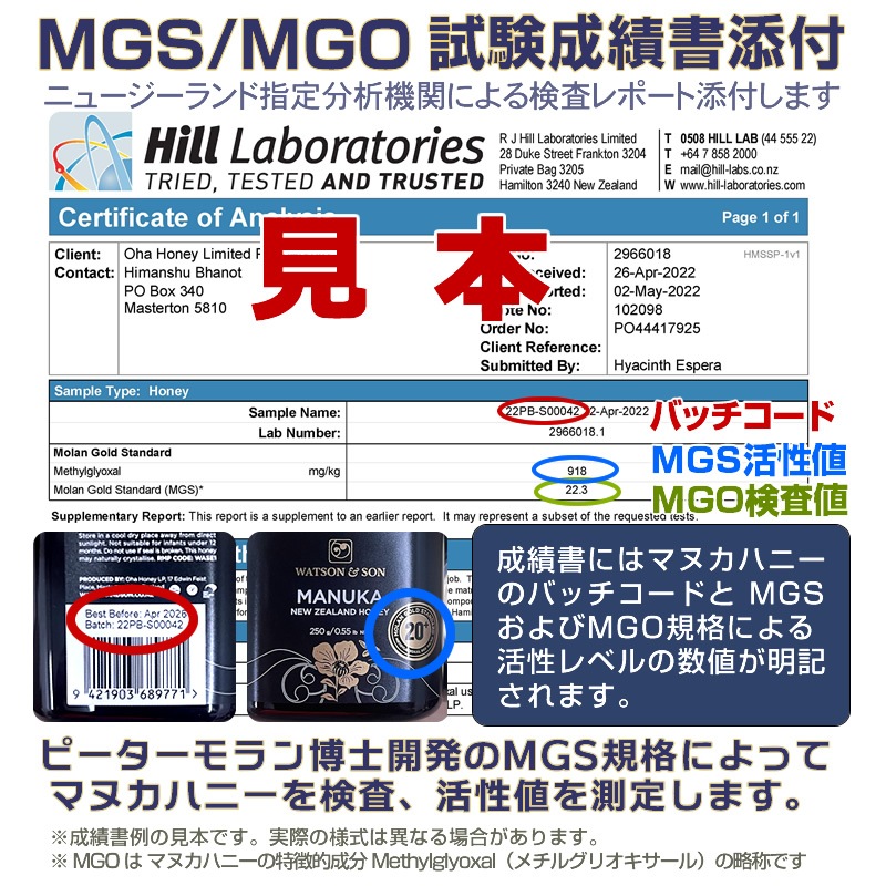 Watson & Son MGS�ޥ̥��ϥˡ� 20+(22.3) MGO800+(918)��250g�� �ޥ̥�˪̪ ��ȥ�������� ������