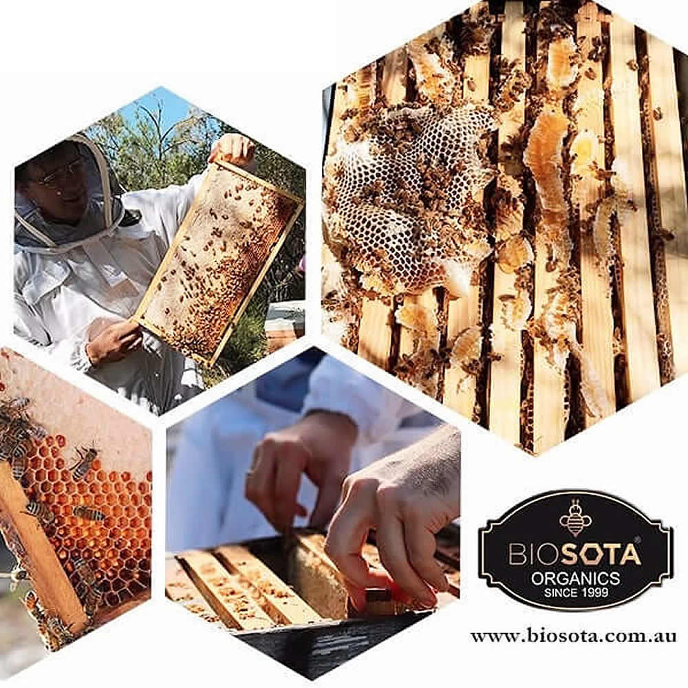 BIOSOTA �ޥ̥��ϥˡ� �������˥å� MGO2000+ NPA35+[70g] �������ȥ�ꥢ�� ACOǧ�� ������