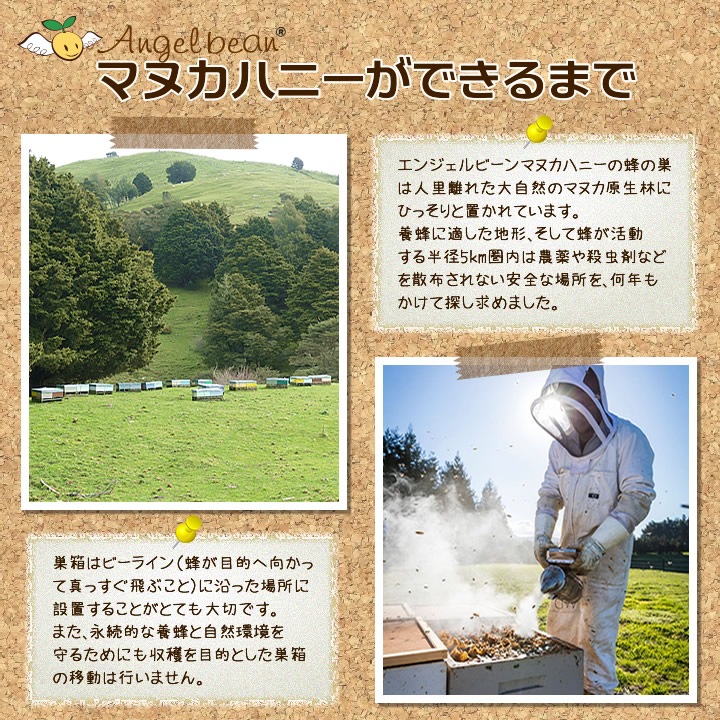 Angel bean �ޥ̥��ϥˡ� MGO50+ �֥��ɥ����� �˥塼�������ɻ� ŷ���Ϥ��ߤ� 500g