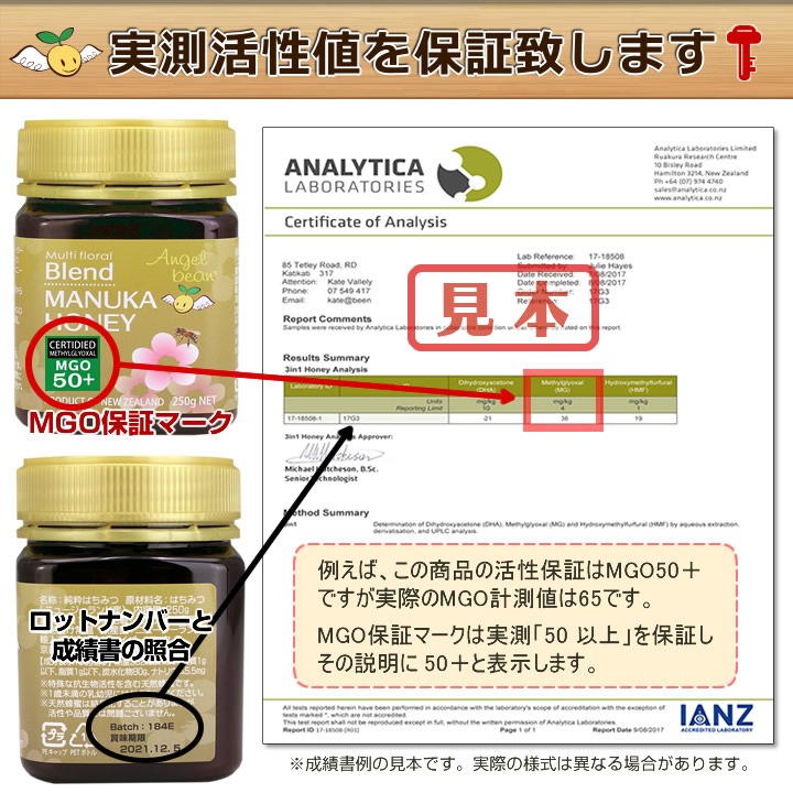 Angel bean �ޥ̥��ϥˡ� MGO50+ �֥��ɥ����� �˥塼�������ɻ� ŷ���Ϥ��ߤ� 500g