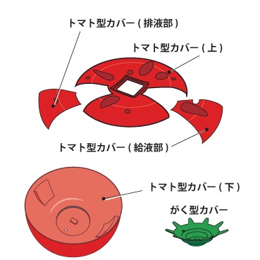 601ȥޥȷСå