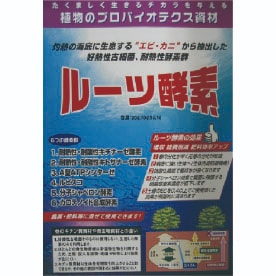 ルーツ酵素　20L