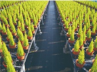 ルンルンシート（白黒）　防草シート