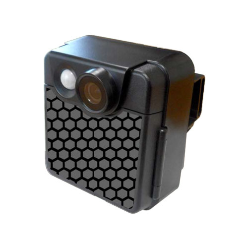 レッツコーポレーション コマ撮り兄弟 防亀単一くん (LBR200DN)