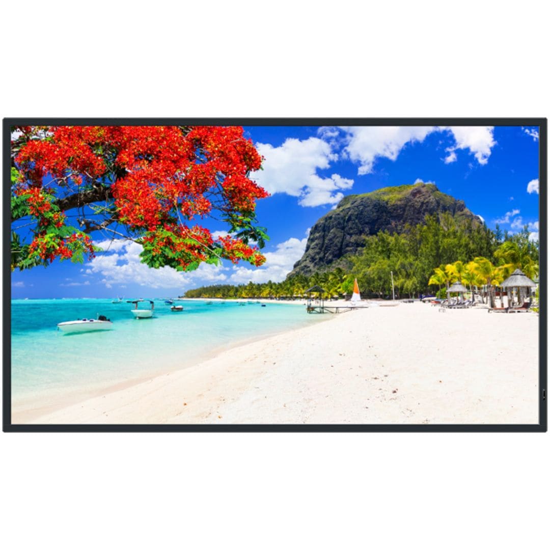 パナソニック Panasonic 4K UHD 液晶ディスプレイ TH-43SQ2HJ 
