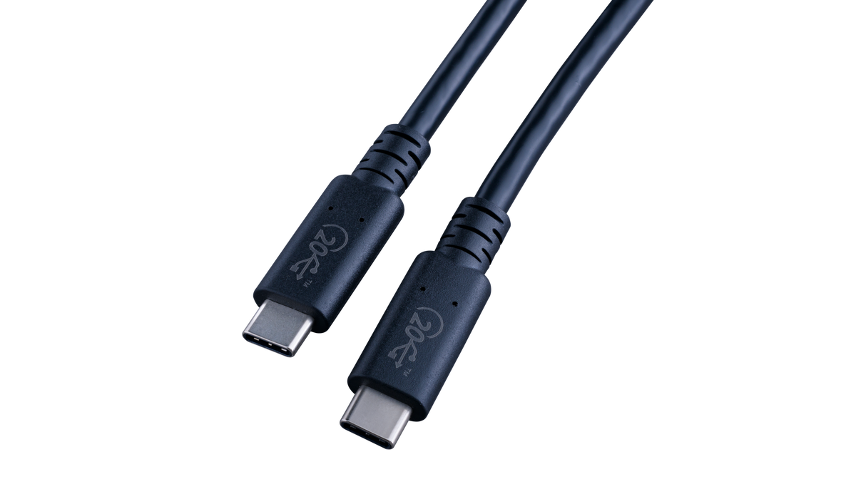 AI USB Type-C to C ケーブル AI-USBC-04G2-02 (長さ：2ｍ)